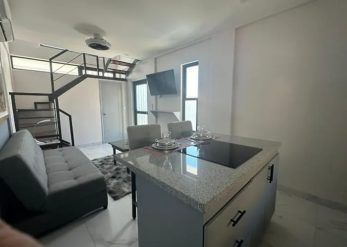 Dog-friendly Loft With Rooftop Infinity Pool, Gym, Balcony & Ac